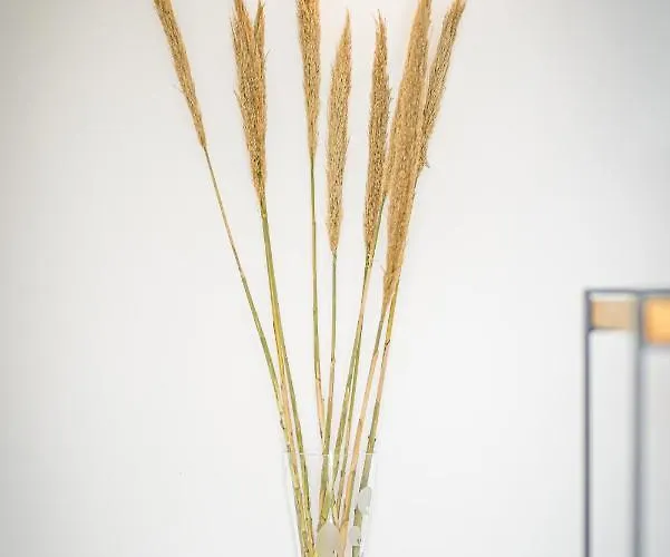 Apartmán Thealos Santorini