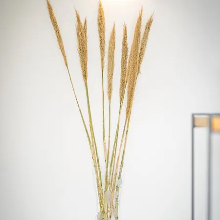 Apartamento Thealos Santorini